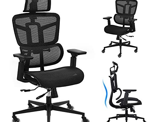 Office Chair – Ergonomic Desk Chair Mesh High Back Computer Chair, Adjustable 3D Lumbar Support Executive Office Chair with 4D…