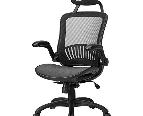 Office Chair Ergonomic Desk Chair Mesh Computer Chair with Lumbar Support Headrest Flip UP Arms Rolling Swivel Adjustable Task Chair…