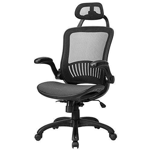 Office Chair Ergonomic Desk Chair Mesh Computer Chair with Lumbar Support Headrest Flip UP Arms Rolling Swivel Adjustable Task Chair…
