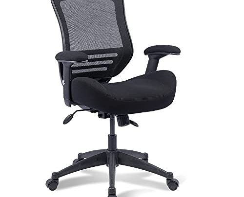 Boliss Ergonomic Office Desk Chair Height Adjusting Arm Waist Support Function,400 lbs Capacity – Black
