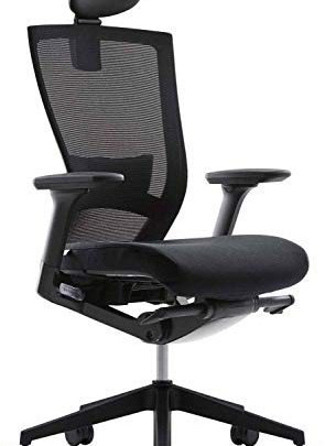 SIDIZ T50 Home Office Desk Chair : Ergonomic Office Chair, Adjustable Headrest, 2-Way Lumbar Support, 3-Way Armrests, Forward Tilt Adjustment,…