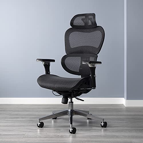 OFM 540 Ergo Office Chair featuring Mesh Back and Seat with Optional Headrest, Black