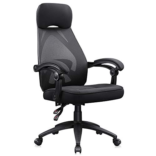 DEVAISE Ergonomics Recliner Office Chair, High Back Mesh Computer Desk Chair with Adjustable Lumbar Support, Black