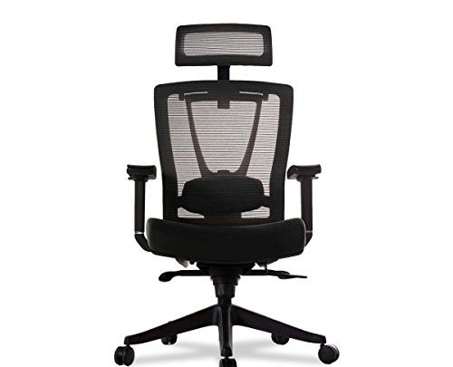 Autonomous Premium 2021 Ergonomic Office Chair: Lumbar Support, Adjustable Seat, Headrest, and Armrests, Executive Swivel, Responsive Mesh Back, Thick Cushion,…