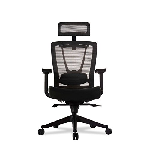 Autonomous Premium 2021 Ergonomic Office Chair: Lumbar Support, Adjustable Seat, Headrest, and Armrests, Executive Swivel, Responsive Mesh Back, Thick Cushion,…