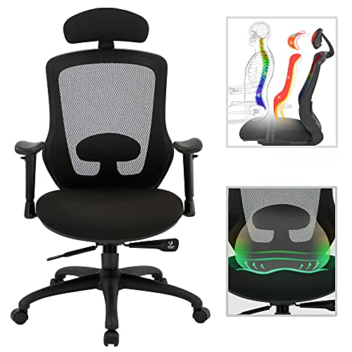 High Back Office Chair, Ergonomic Mesh Desk Chairs with Adjustable Headrest 3D Armrest Lumbar Support, Tilting & Lock Task Chair…