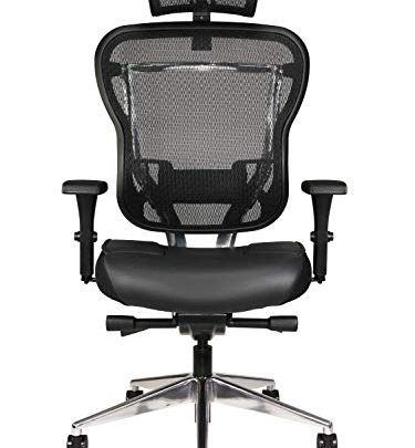 Oak Hollow Furniture Aloria Series Office Chair Ergonomic Executive Computer Chair with Headrest, Genuine Leather Seat Cushion, Mesh Back, Adjustable…