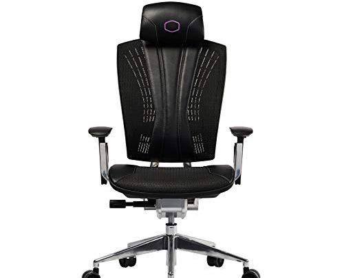 Cooler Master Ergo L Ergonomic Office Mesh Chair, Comfortable Computer Desk Chairs with High Back & Rolling Wheels for Home…