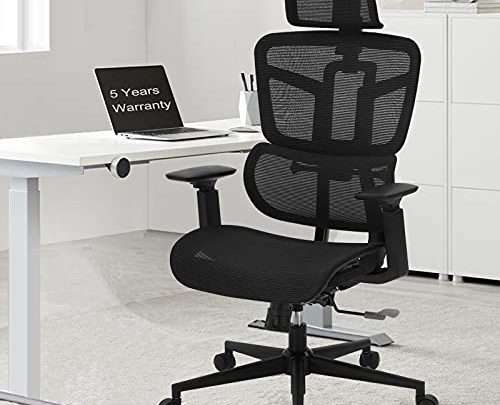SAMOFU Ergonomic Office Chair, High Back Desk Chair Executive Chair with liftable Backrest, Computer Chair with 5 Years Warranty, Adjustable…