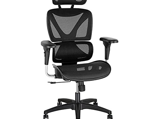 Gabrylly Ergonomic Office Chair, Large Mesh Chair with Lumbar Support – Double Back, Adjustable Headrest & 2D Armrests, High-Back Home…