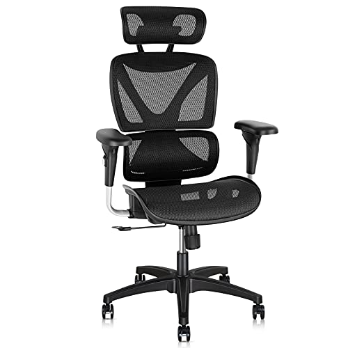 Gabrylly Ergonomic Office Chair, Large Mesh Chair with Lumbar Support – Double Back, Adjustable Headrest & 2D Armrests, High-Back Home…