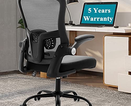 SAMOFU Home Office Chair, [Newer Model] Desk Chair with 5 Years Warranty and Adjustable Lumbar Support, High Back Computer Chair…