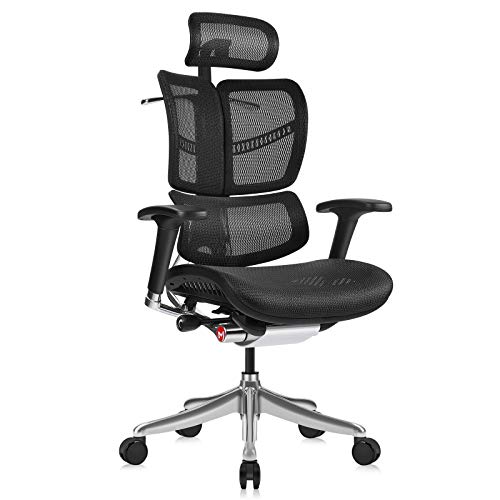 MOOJIRS Ergonomic Office Chair with Headrest Adj and Tilt Limiter|Backrest Height Adj|Seat Depth Adj|3-Dimensional Dynamic Backrest and Lumbar Support|Aluminum Frame/with…