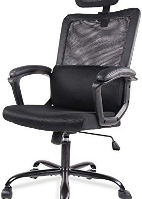 Office Chair, Ergonomic Mesh Home Office Computer Chair with Lumbar Support/Adjustable Headrest/Armrest and Wheels/Mesh High Back/Swivel Rolling (Black)