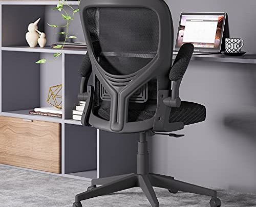 Reyade Office Chair Ergonomic Desk Chair Home Mesh Computer Task Chair with Flip-up Arms Lumbar Support and Adjustable Height, Black