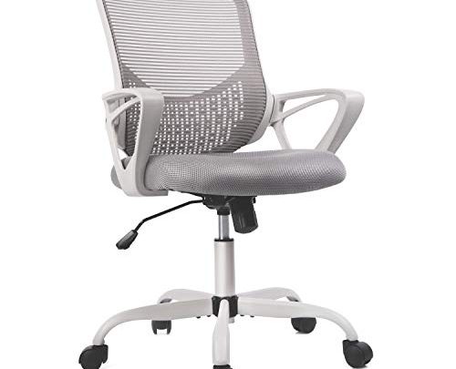 Home Office Chair, Mid Back Desk Chair Ergonomic Computer Chair Executive Rolling Swivel Height Adjustable Mesh Task Chair with Lumbar…