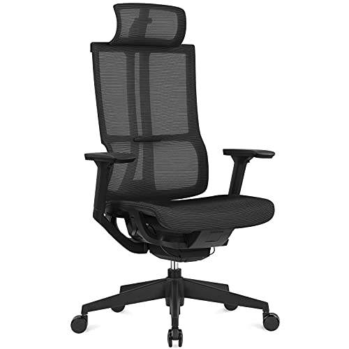 HARBLAND Ergonomic Office Chair, High Back Mesh Computer Chair with Adjustable Headrest, 4D Armrest, Sliding Seat, High Back Desk Chair…