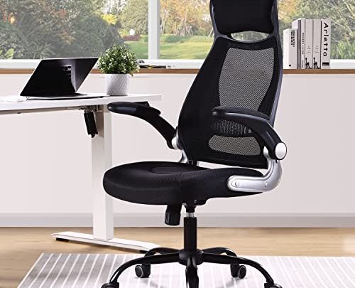 OWLN PHILI Executive Desk Chair Mesh Ergonomic Office High Back Chair with Flip Up Armrest, Adjustable Tall Task Chair with…