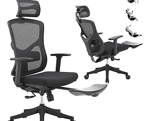 ERGOUP Home Office Chair, Adjustable Lumbar Support Chair Executive Mesh Desk Chair with Adjustable Headrest & 3D Armrest, Computer Chair…