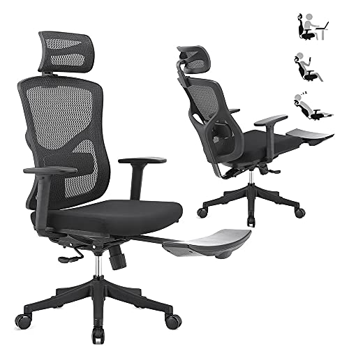ERGOUP Home Office Chair, Adjustable Lumbar Support Chair Executive Mesh Desk Chair with Adjustable Headrest & 3D Armrest, Computer Chair…