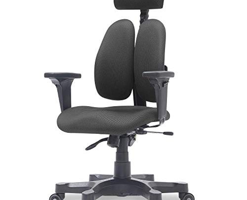 【DUOREST Gold】 Home Office Desk Chairs – Back Support Office Chair, Best Office Chair for Posture, Ergonomic Office Chair, Office…