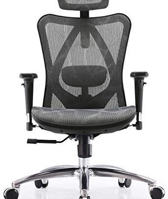 SIHOO Ergonomic Adjustable Office Chair with 3D Arm Rests and Lumbar Support – High Back with Breathable Mesh – Mesh…
