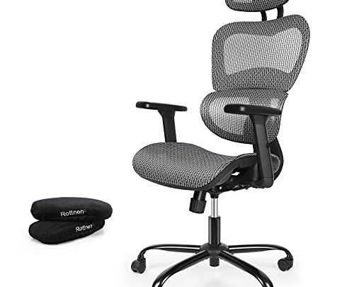 ErgoRo Ergonomic Office Chair-Rolling Desk Chair with 3D Adjustable Armrest & Memory Foam Armrest Pads, Lumbar Support, Boss Chair Executive…