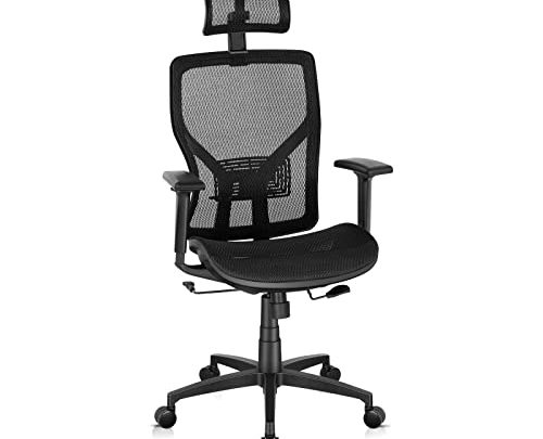 SUNNOW Ergonomic Office Chair, Mesh Desk Chair with Adjustable Lumbar Support, Sliding Seat, Headrest, 2D Armrest-High Back Swivel Task Chair…