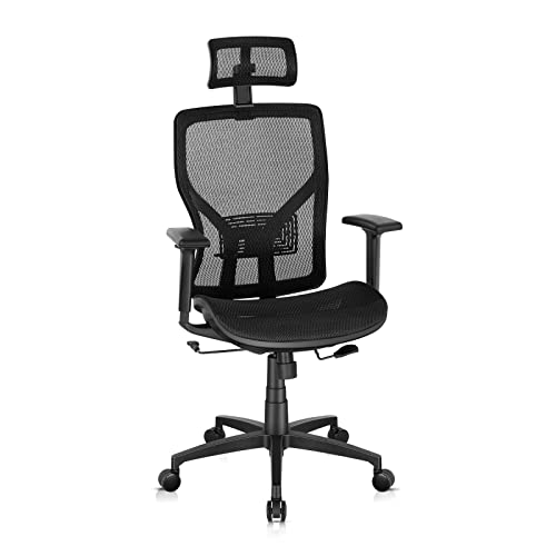 SUNNOW Ergonomic Office Chair, Mesh Desk Chair with Adjustable Lumbar Support, Sliding Seat, Headrest, 2D Armrest-High Back Swivel Task Chair…
