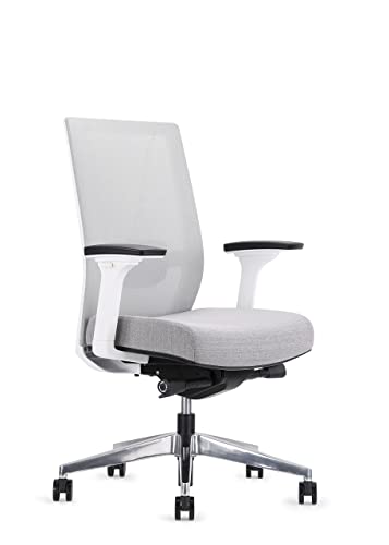 EasyErgo Apollo Ergonomic Chair – Ergo Mesh Design for Computer Desk Work – Comfortable Office Chair (Ash)