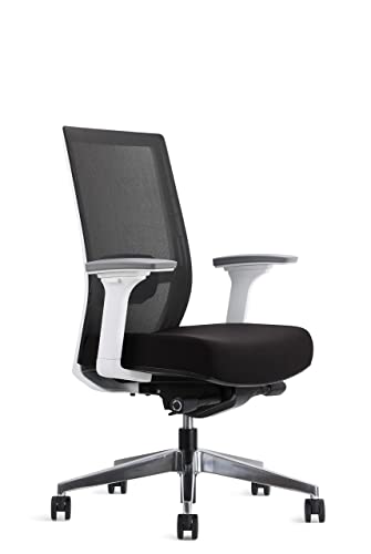EasyErgo Apollo Ergonomic Chair – Ergo Mesh Design for Computer Desk Work – Comfortable Office Chair (Comet)