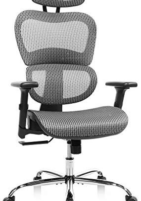 Ergonomic Office Chair, High Back Mesh Chair Computer Desk Chair with Lumbar Support and 3D Adjustable Headrest and Armrests for…