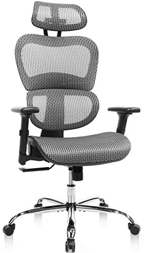 Ergonomic Office Chair, High Back Mesh Chair Computer Desk Chair with Lumbar Support and 3D Adjustable Headrest and Armrests for…