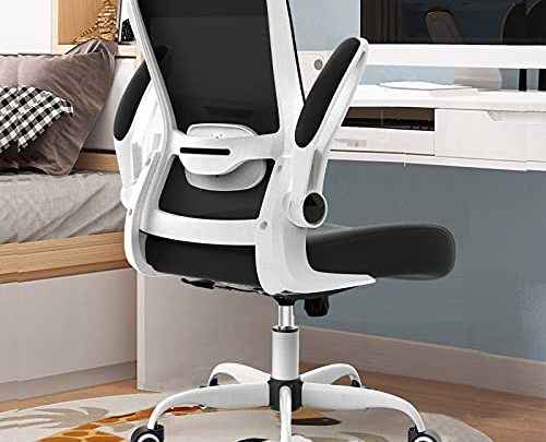 Office Chair, Ergonomic Desk Chair with Adjustable Lumbar Support, High Back Mesh Computer Chair with Flip-up Armrests-BIFMA Passed Task Chairs,…