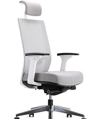 EasyErgo Apollo Ergonomic Chair – Ergo Mesh Design for Computer Desk Work – Comfortable Office Chair with Detachable Headrest