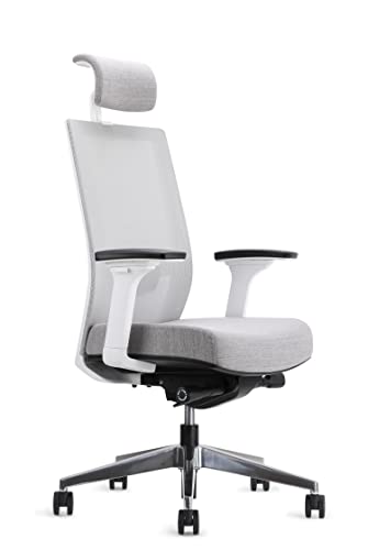 EasyErgo Apollo Ergonomic Chair – Ergo Mesh Design for Computer Desk Work – Comfortable Office Chair with Detachable Headrest