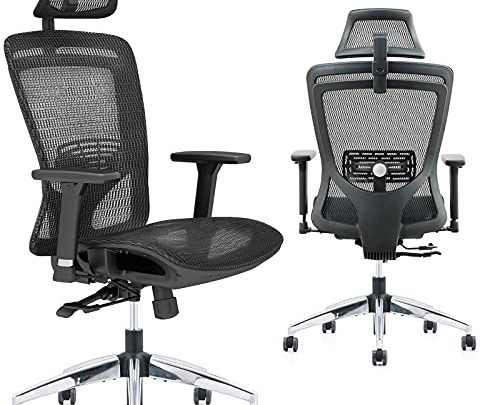 ZUERST Ergonomic Office Chair – Reclining Office Chair with Mesh Seat and Back, Flip-Up Headrest, Lumbar Support, 3D Armrest, Big…