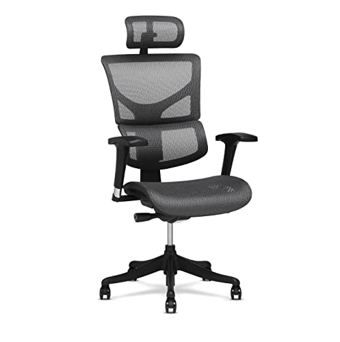 X-Chair X1 High End Task Chair, Grey Flex Mesh with Headrest – Ergonomic Office Seat/Incredible Lower Back and Lumbar Support/Highly…