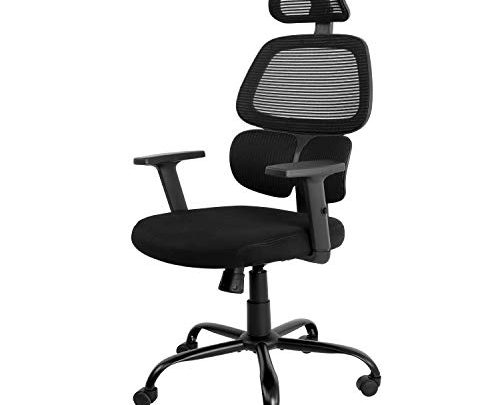 AuAg High-Back Office Chair, Ergonomics Breathable Mesh Chair with Lumbar Support, Home Office Desk Chairs with Adjustable Headrest and Armrests…