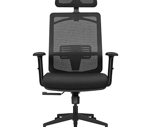 Furmax Ergonomic Office Chair, High Back Desk Chair with Adjustable Headrest, Lumbar Support and Armrests, Mesh Computer Chair with Clothes…