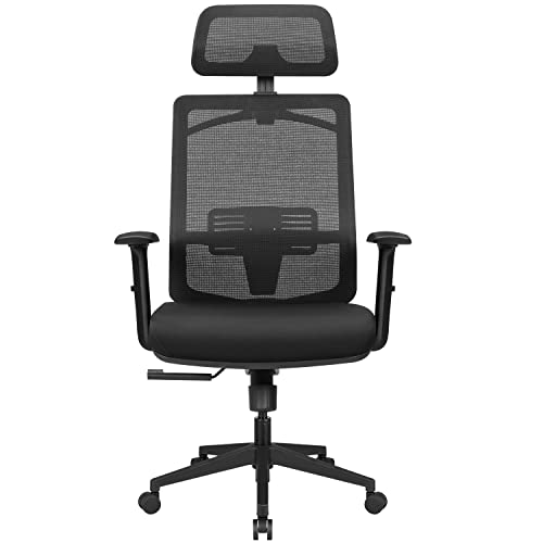 Furmax Ergonomic Office Chair, High Back Desk Chair with Adjustable Headrest, Lumbar Support and Armrests, Mesh Computer Chair with Clothes…