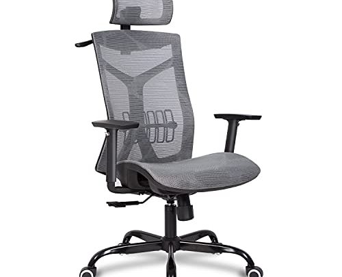 Bowthy Ergonomic Full Mesh Office Chair with Back Adjustable 90-135° Computer Executive Desk Chair with Headrest and Lumbar Support Adjustable…