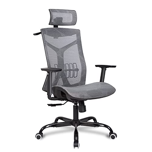 Bowthy Ergonomic Full Mesh Office Chair with Back Adjustable 90-135° Computer Executive Desk Chair with Headrest and Lumbar Support Adjustable…