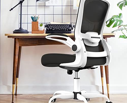 2021 Upgraded Ergonomic Office Chair, Home Office Desk Chairs with Thickened Foam Cushion and Lumbar Support, Swivel Office Desk Chair…