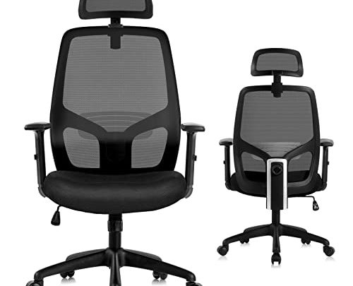 LEFUNEO Ergonomic Office Chair with Adjustable Lumbar Support, Computer Desk Chair with 2D PU Armrests, High Back Executive Office Chair…