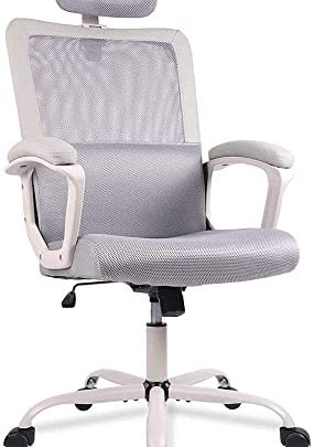 Office Chair, Ergonomic Mesh Home Office Computer Chair with Lumbar Support/Adjustable Headrest/Armrest and Wheels/Mesh High Back/Swivel Rolling (Grey)
