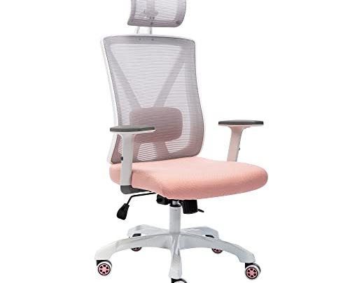 Ergonomic Home Office Chair with Adjustable Lumbar Support and Armrests, Breathable Mesh Back and Padded Seat Desk Chair, White Task…