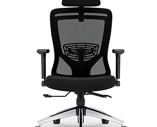 ZUERST Ergonomic Office Chair – Adjustable Mesh Office Chair with Lumbar Support, 3D Armrest and Flip-Up Headrest, High Resilience Cushion…