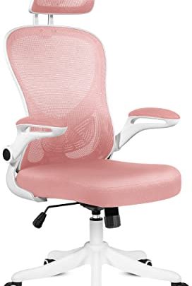 Misolant Ergonomic Chair, Mesh Office Chair, Mesh Chair, Computer Desk Chair with Adjustable Lumbar Support and Flip-up Armrest, Office Chair,…