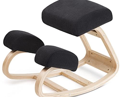 Luxton Home Ergonomic Chair Work from Home Posture Chair with Extra Padding